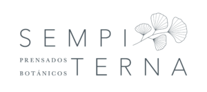 Logotipo-sempiterna